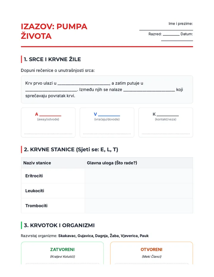 Pumpa Života Radni Listić