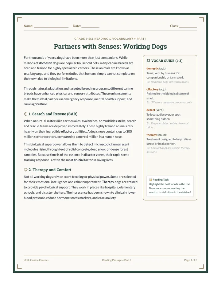 Working Dogs Reading Worksheet