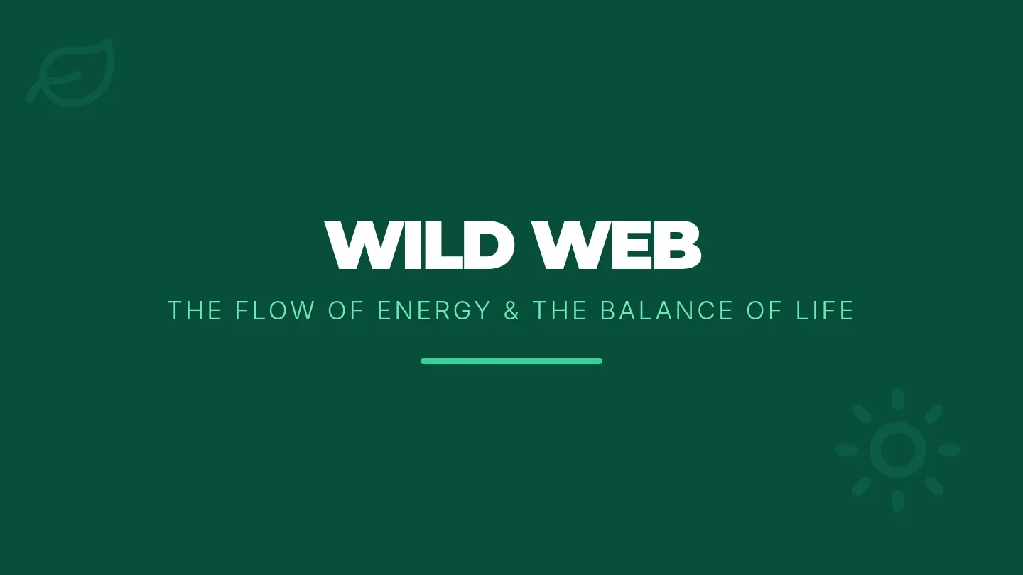 Wild Web Slides