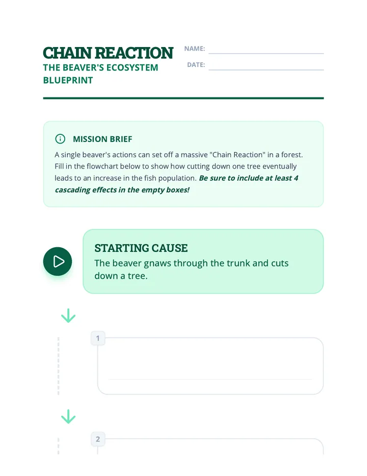 Chain Reaction Worksheet