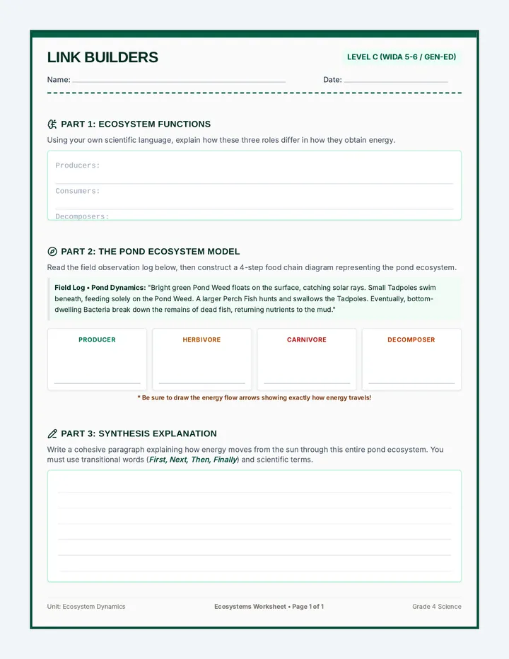 Link Builders Worksheet C