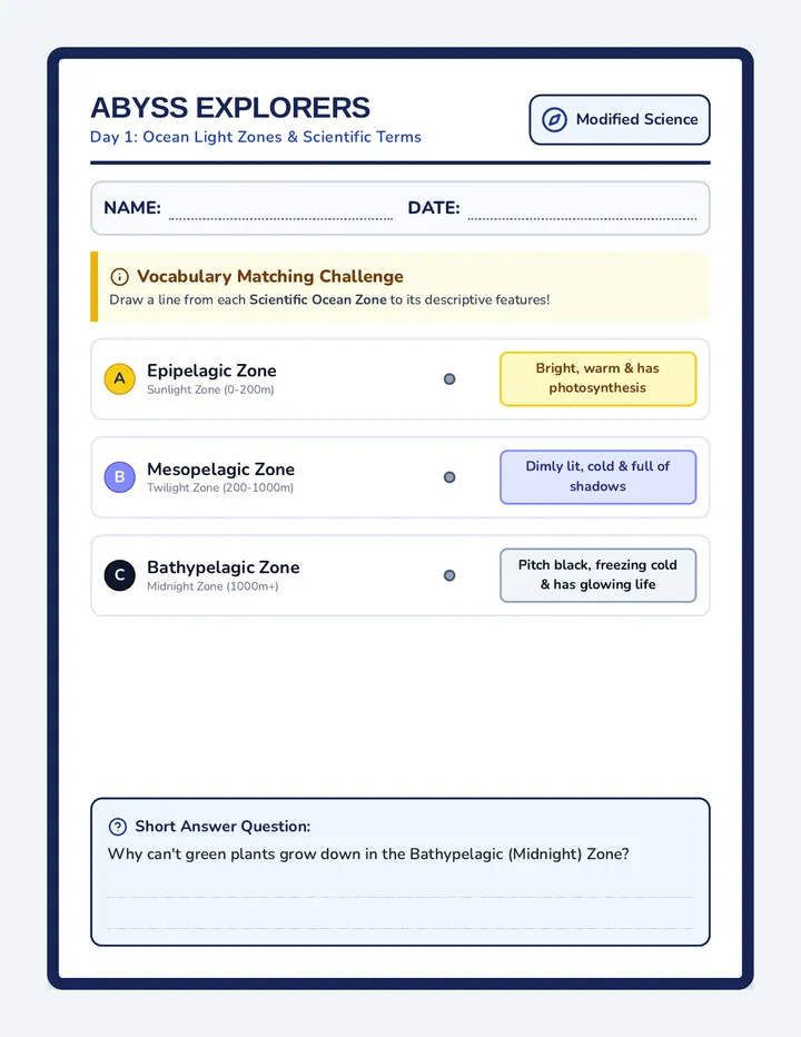 Dark Zone Worksheet