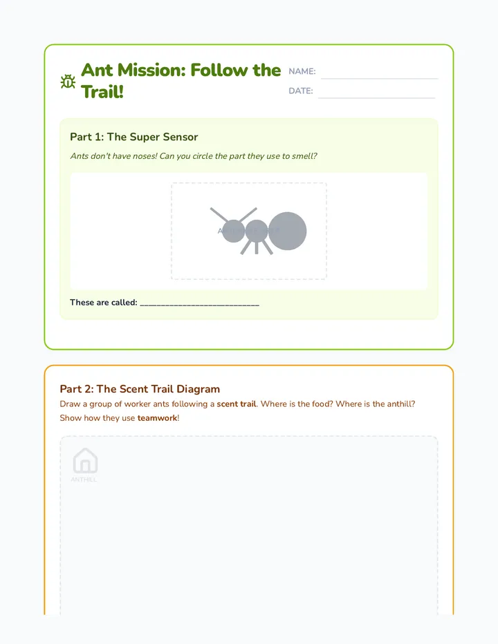 Ant Mission Worksheet