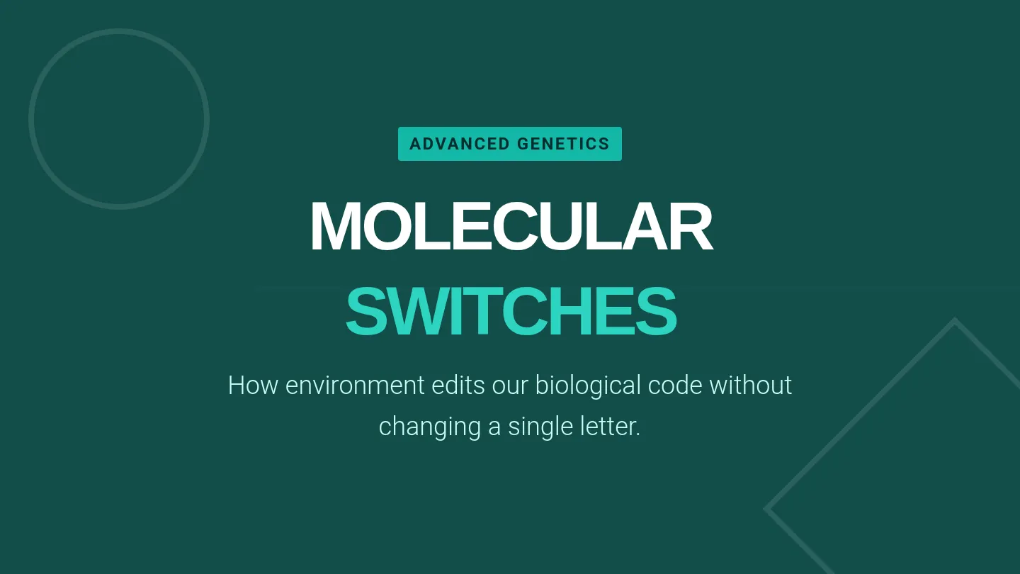 Molecular Switches Slides