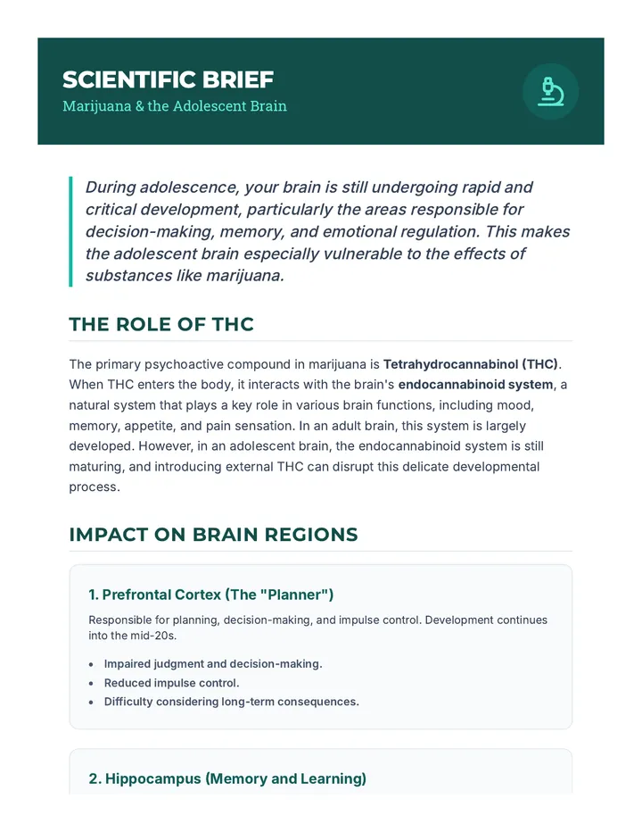 Marijuana Brain Reading Handout