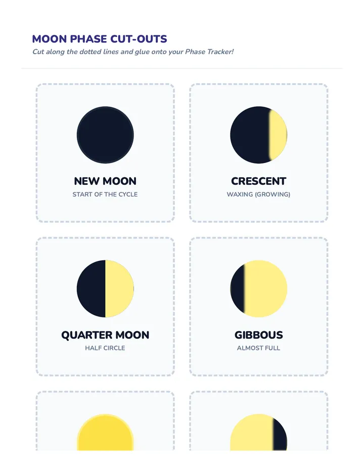 Phase Flash Cards