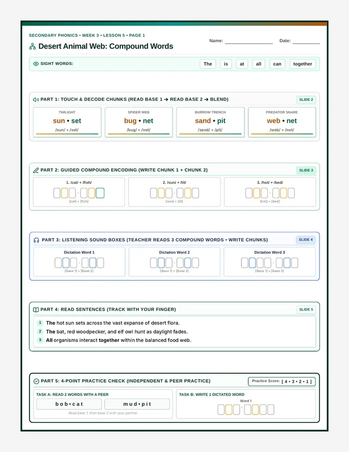 Desert Web Activity Sheet
