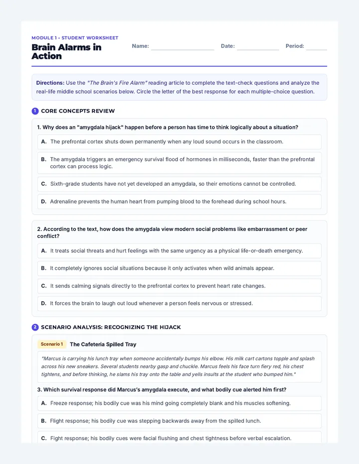Brain Alarms Scenarios Worksheet