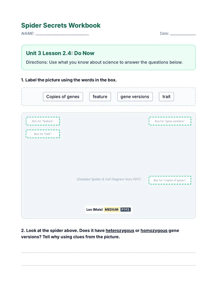 Spider Secrets Student Workbook