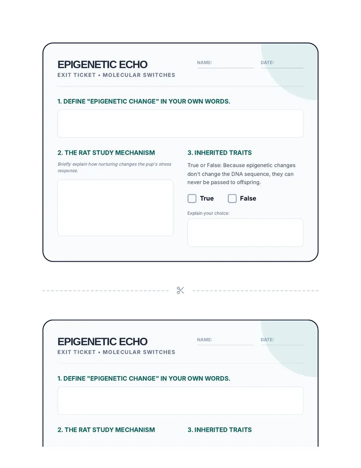 Epigenetic Echo Exit Ticket