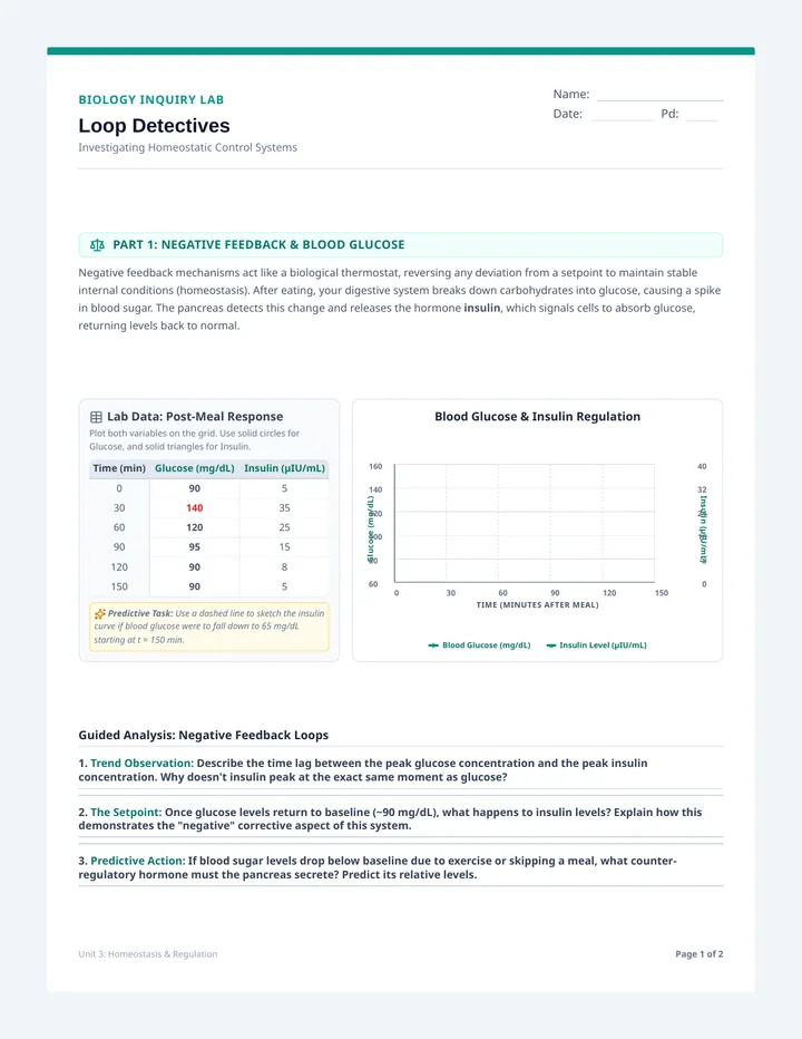 Feedback Loop Lab Worksheet
