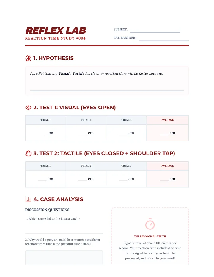 Reflex Lab Sheet