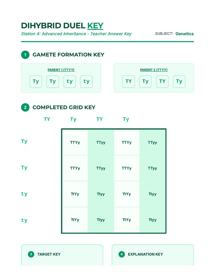 Dihybrid Duel Answer Key