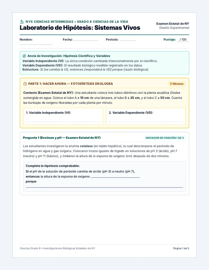 Hypothesis Testing Worksheet