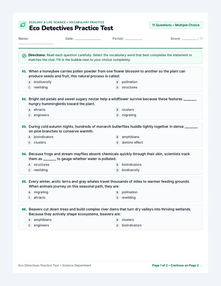 Eco Detectives Practice Test