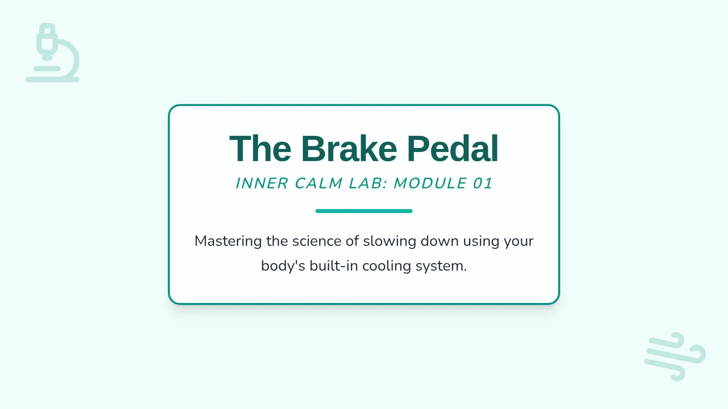 Brake Pedal Slides
