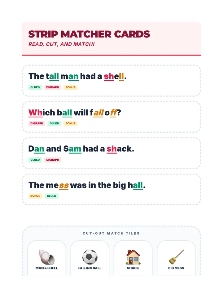 Matching Strips Activity