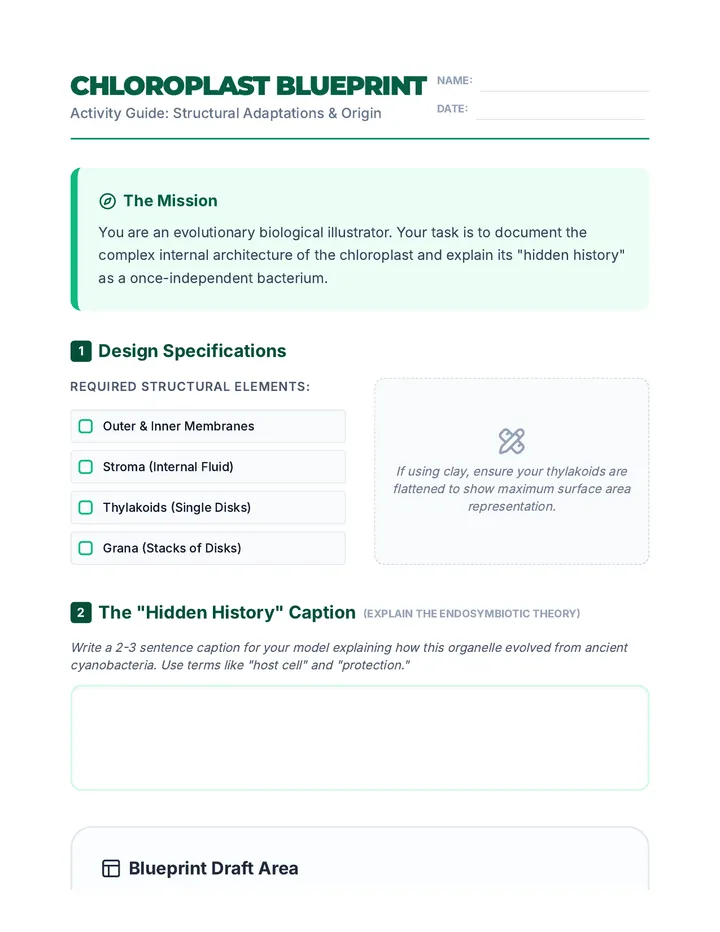 Chloroplast Blueprint Worksheet