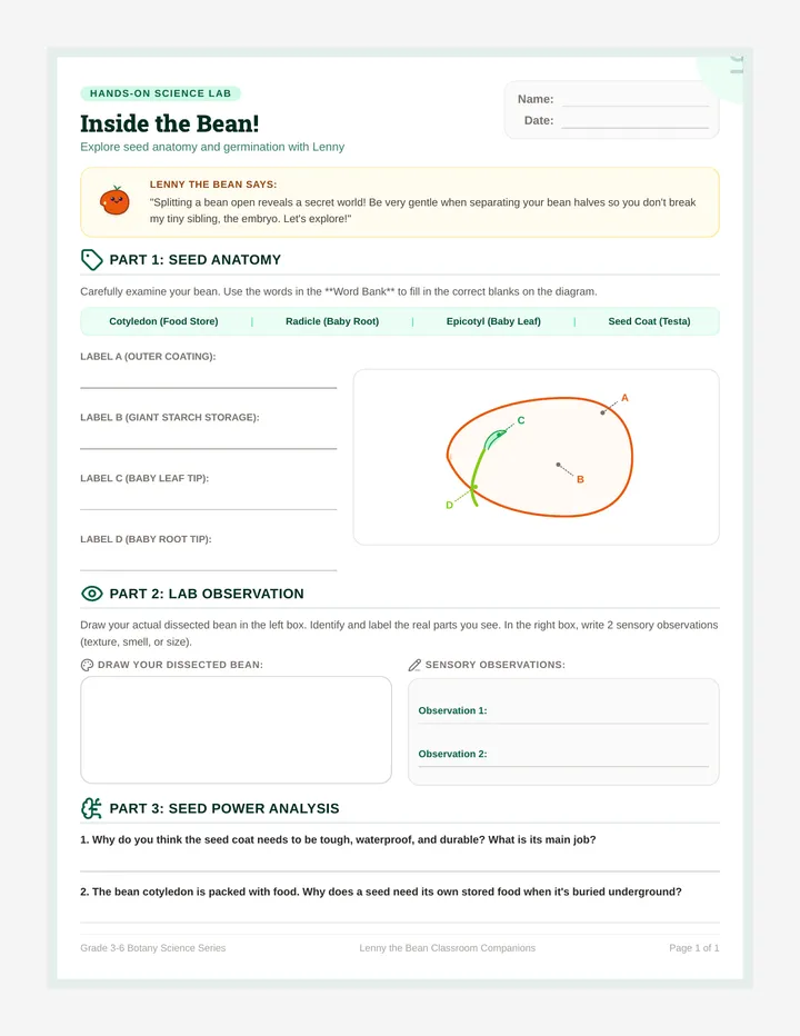 Inside the Bean Worksheet