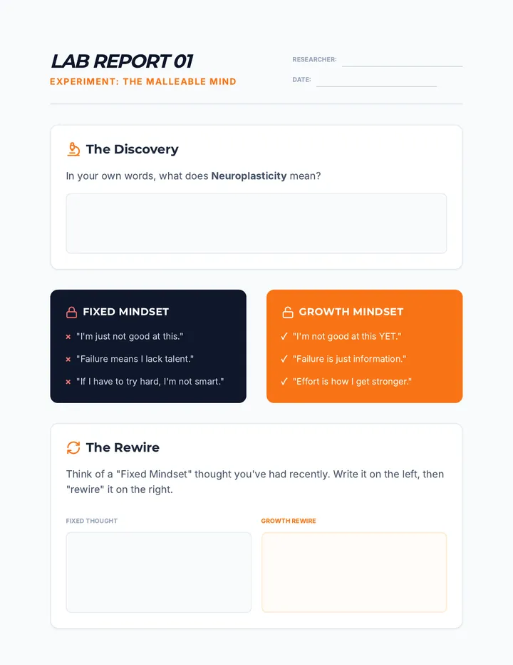 Brain Rewire Lab Report
