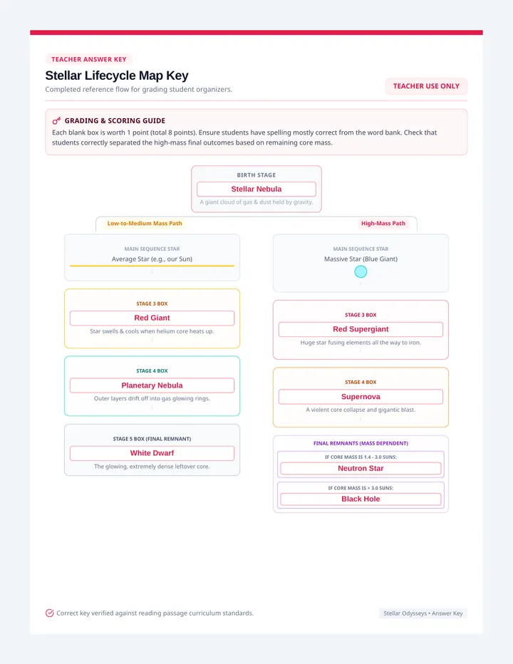 Stellar Lifecycle Graphic Organizer Key