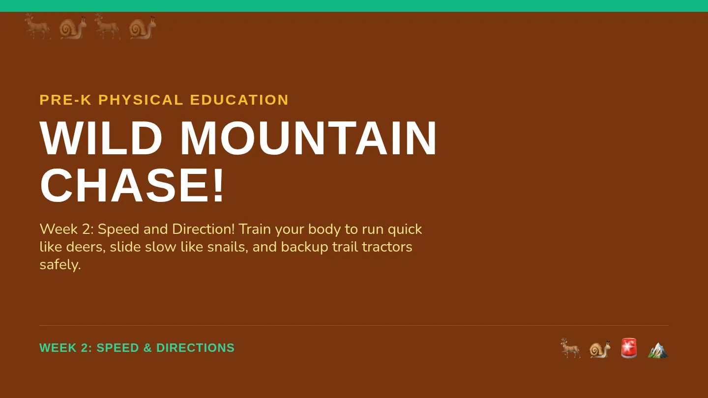 Wilderness Adventure Slides