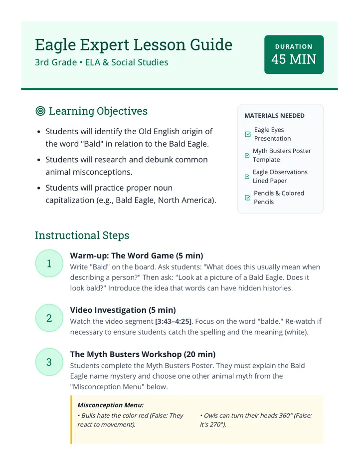 Eagle Expert Lesson Guide
