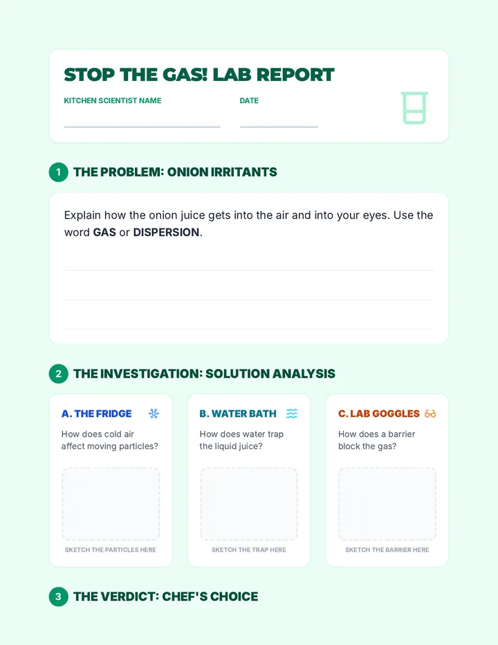 Stop the Gas Activity Sheet