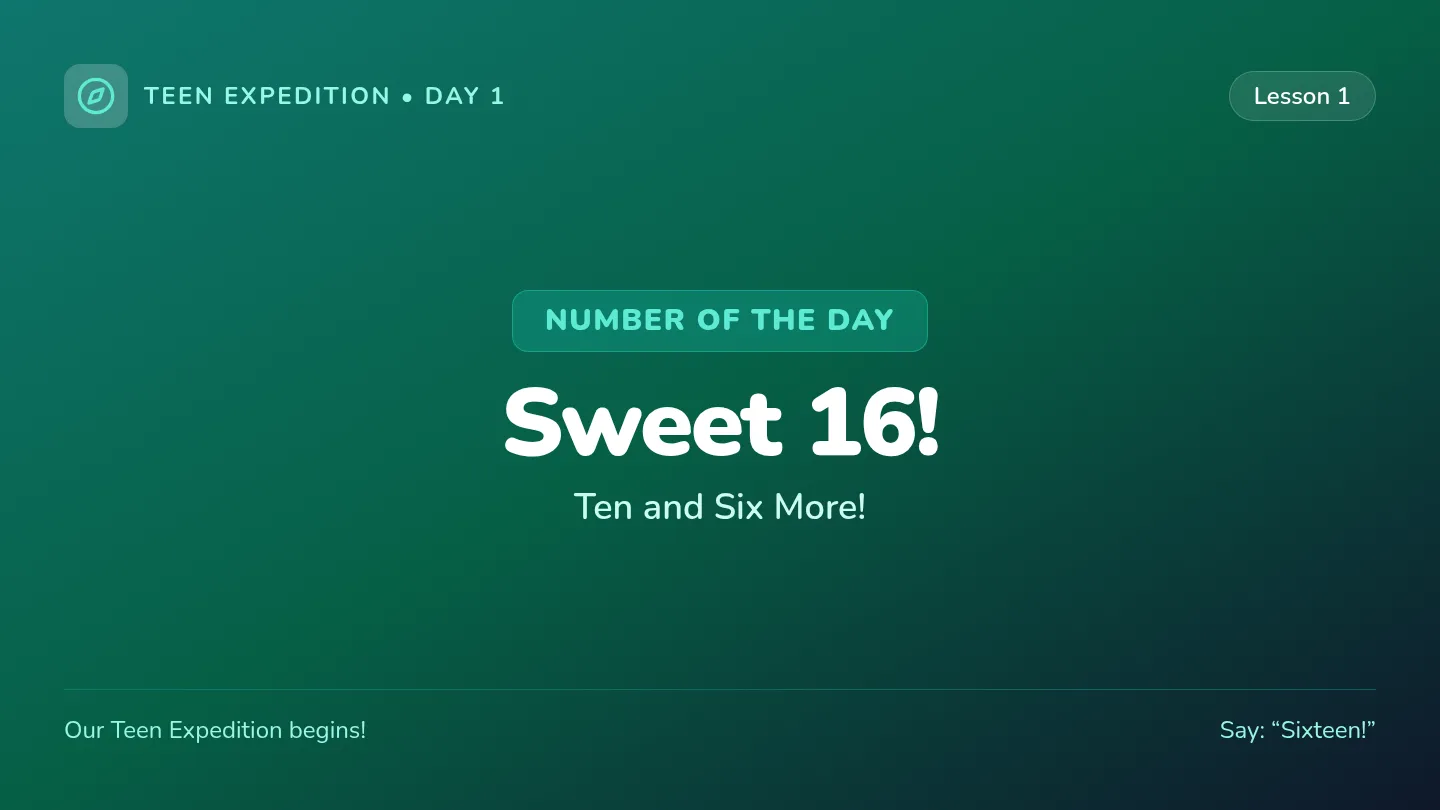 Sixteen Discovery Slides