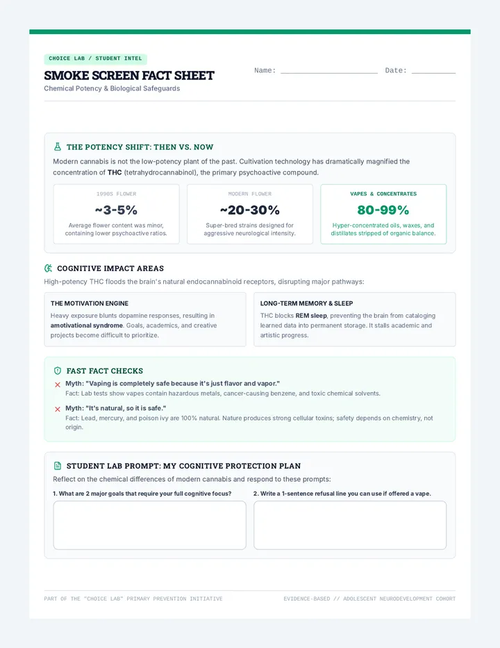 Smoke Screen Fact Sheet