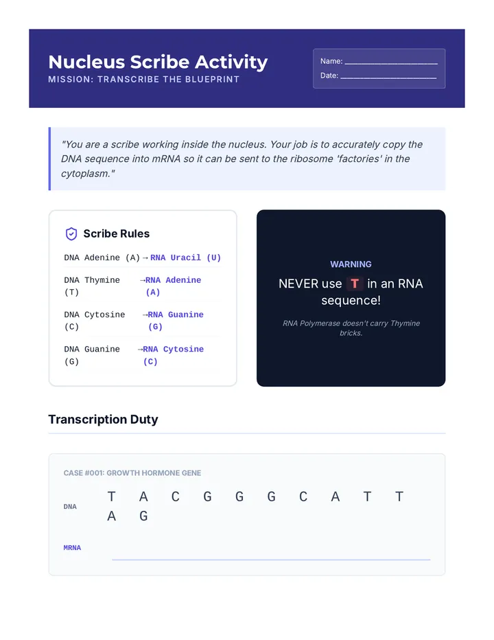 Nucleus Scribe Activity Worksheet