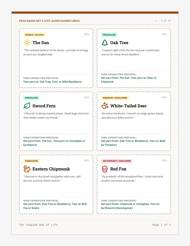 Forest Connection Cards