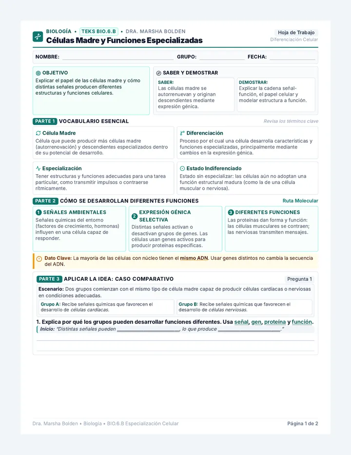 Spanish Cell Specialization Worksheet