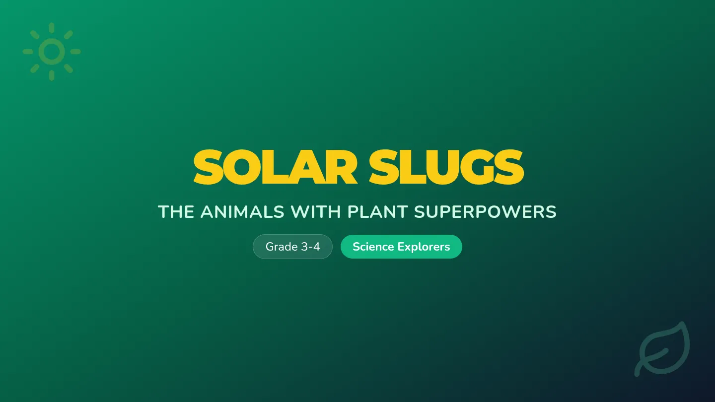 Solar Slug Slides