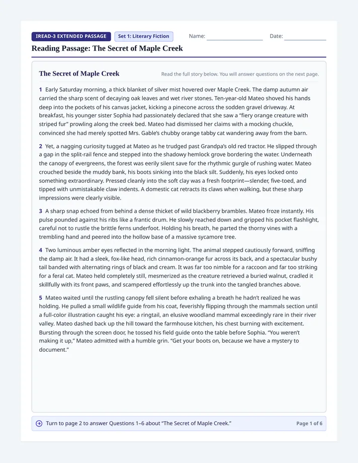 Passage Detectives Practice Packet