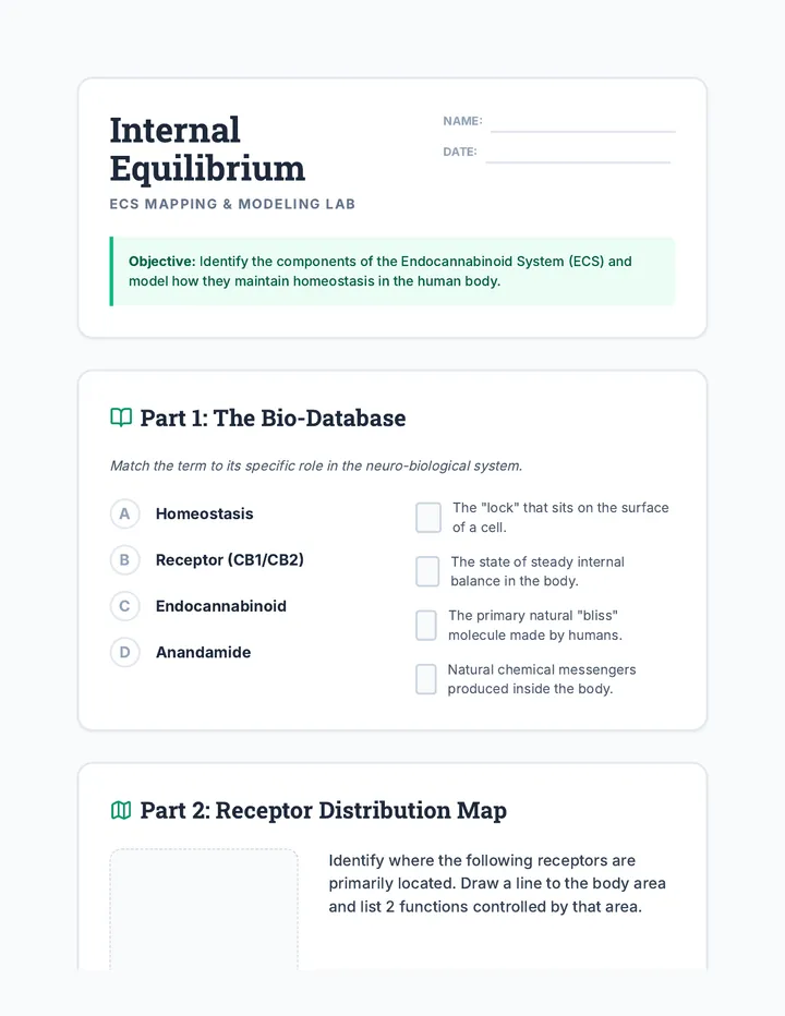 Internal Equilibrium Worksheet