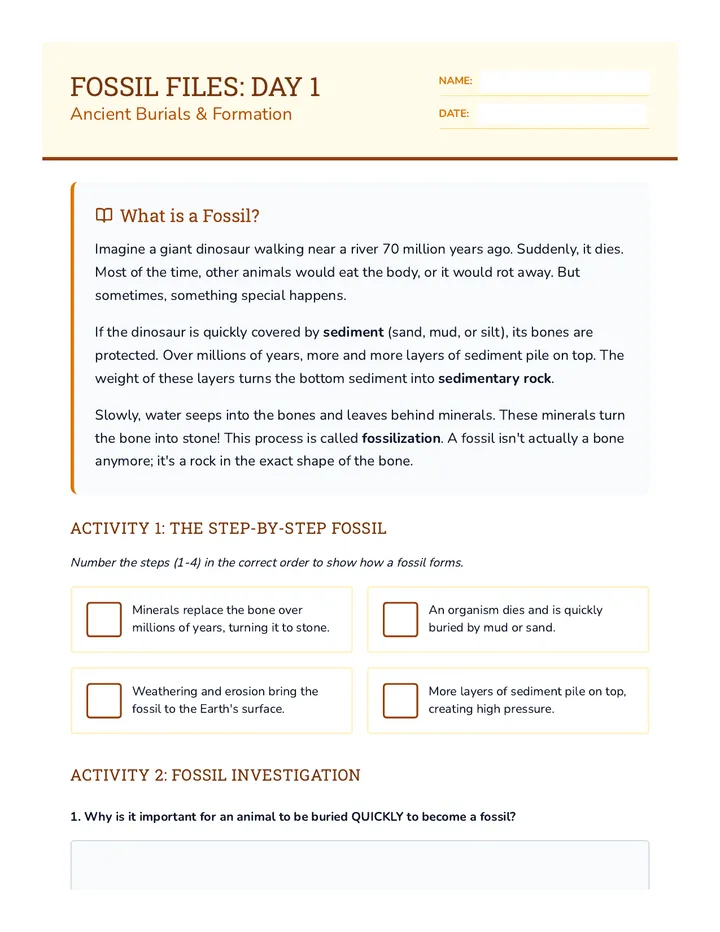 Fossil Foundations Packet