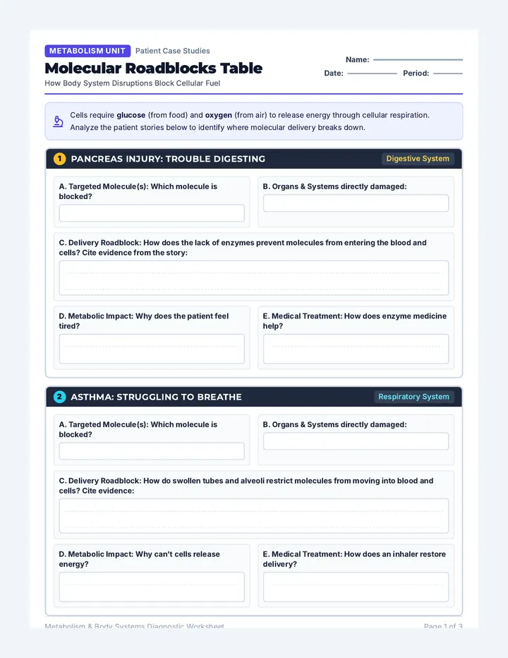 Molecular Roadblocks Worksheet