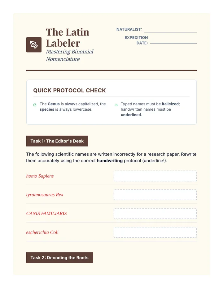 Latin Labeler Workshop