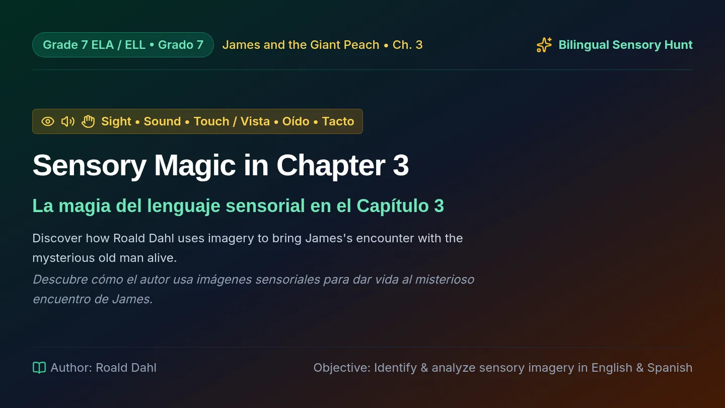 Sensory Magic Slides