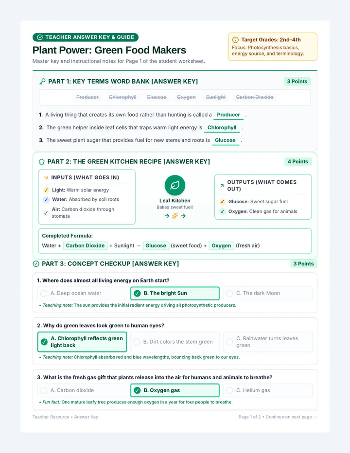 Plant Power Answer Key