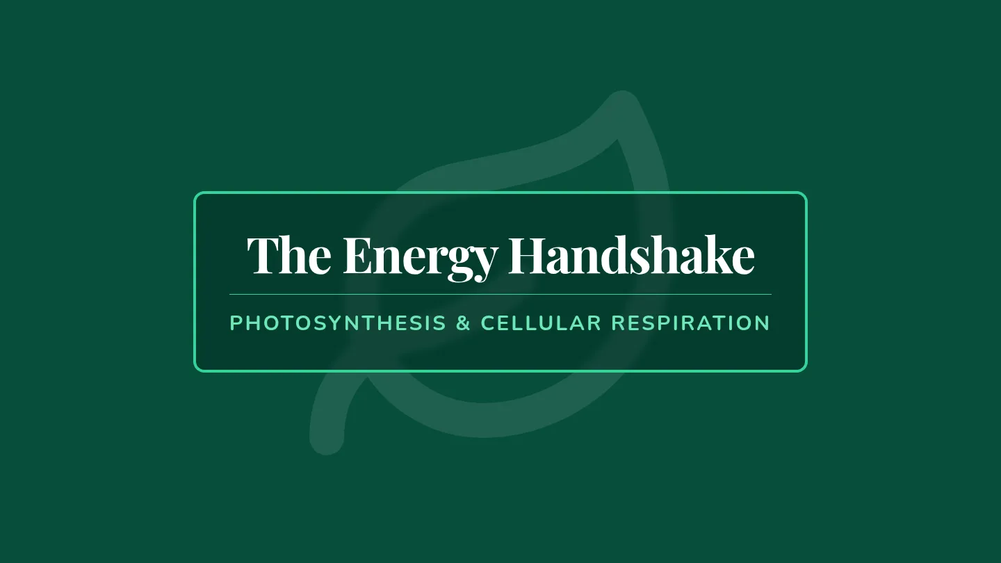 Energy Handshake Slides