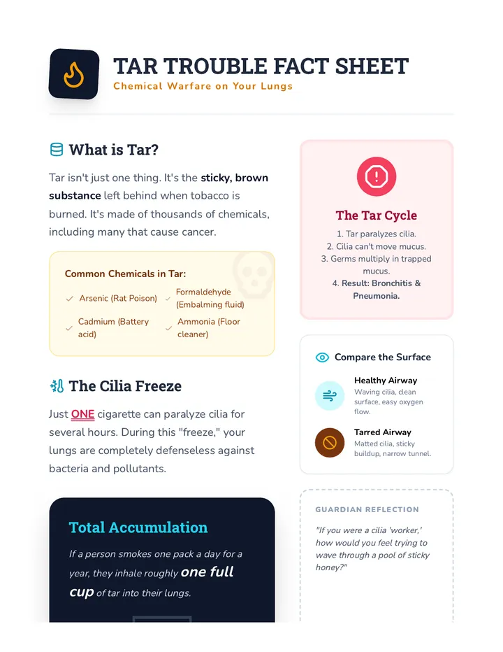 Tar Trouble Fact Sheet