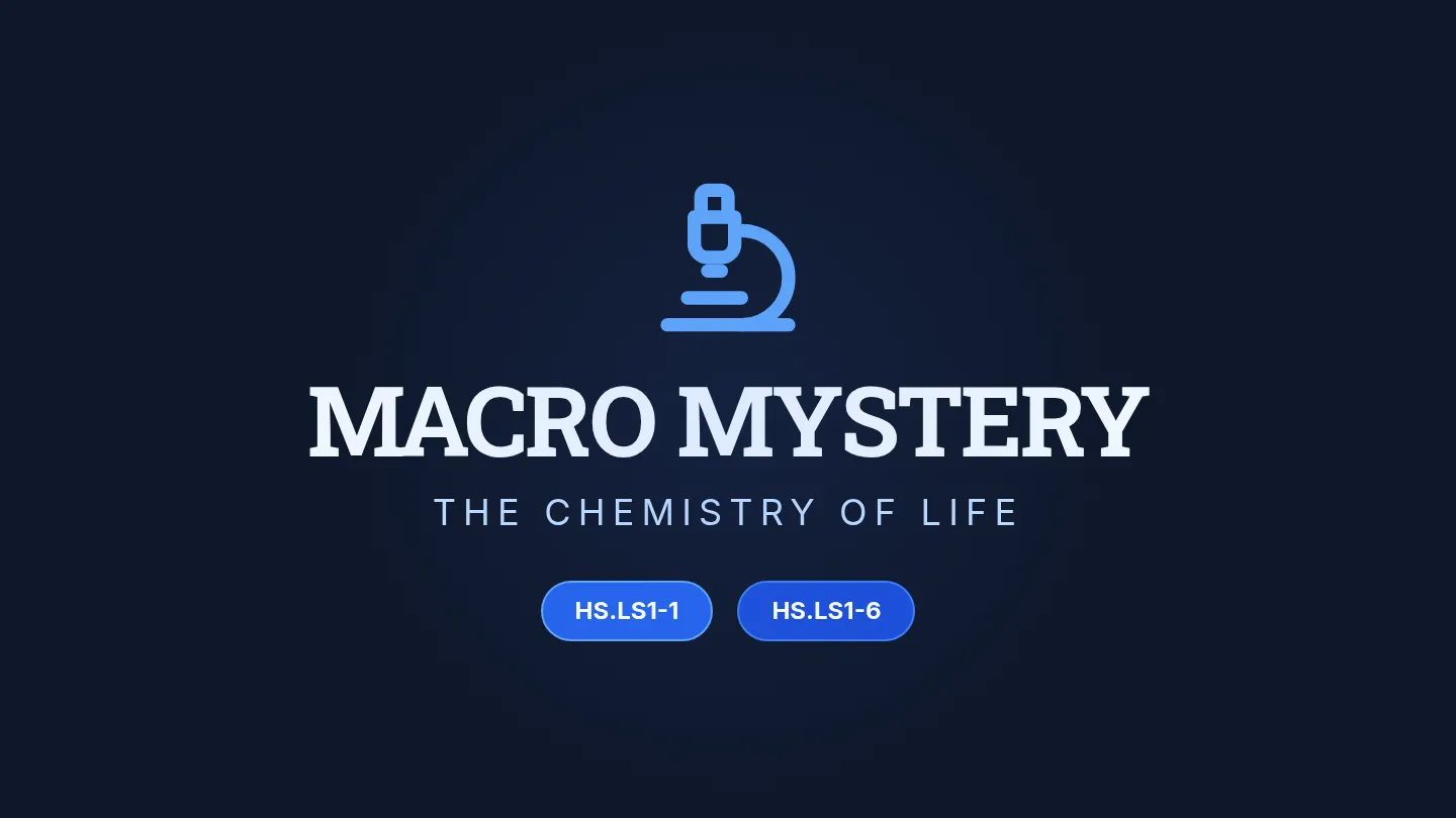 Macro Mystery Slides