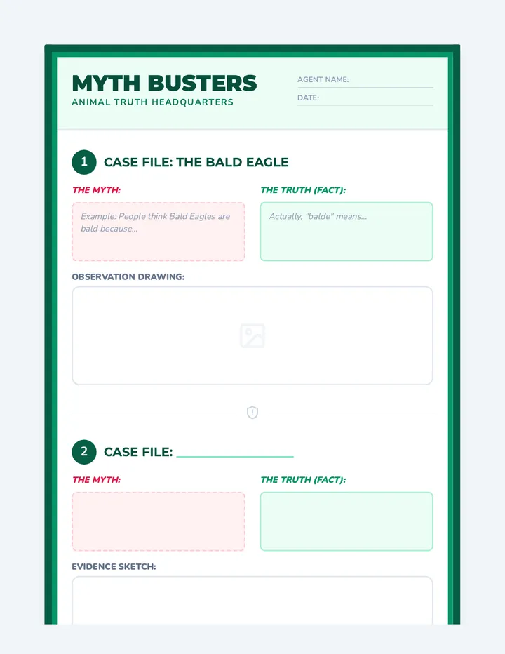 Myth Busters Poster Template