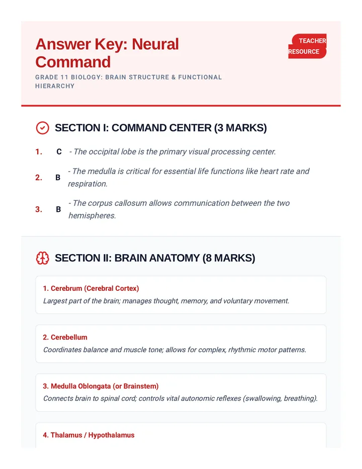 Neural Command Answer Key