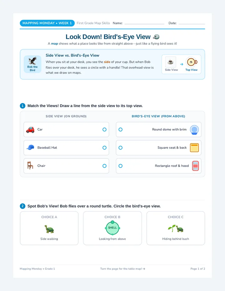 Bird Eye View Worksheet