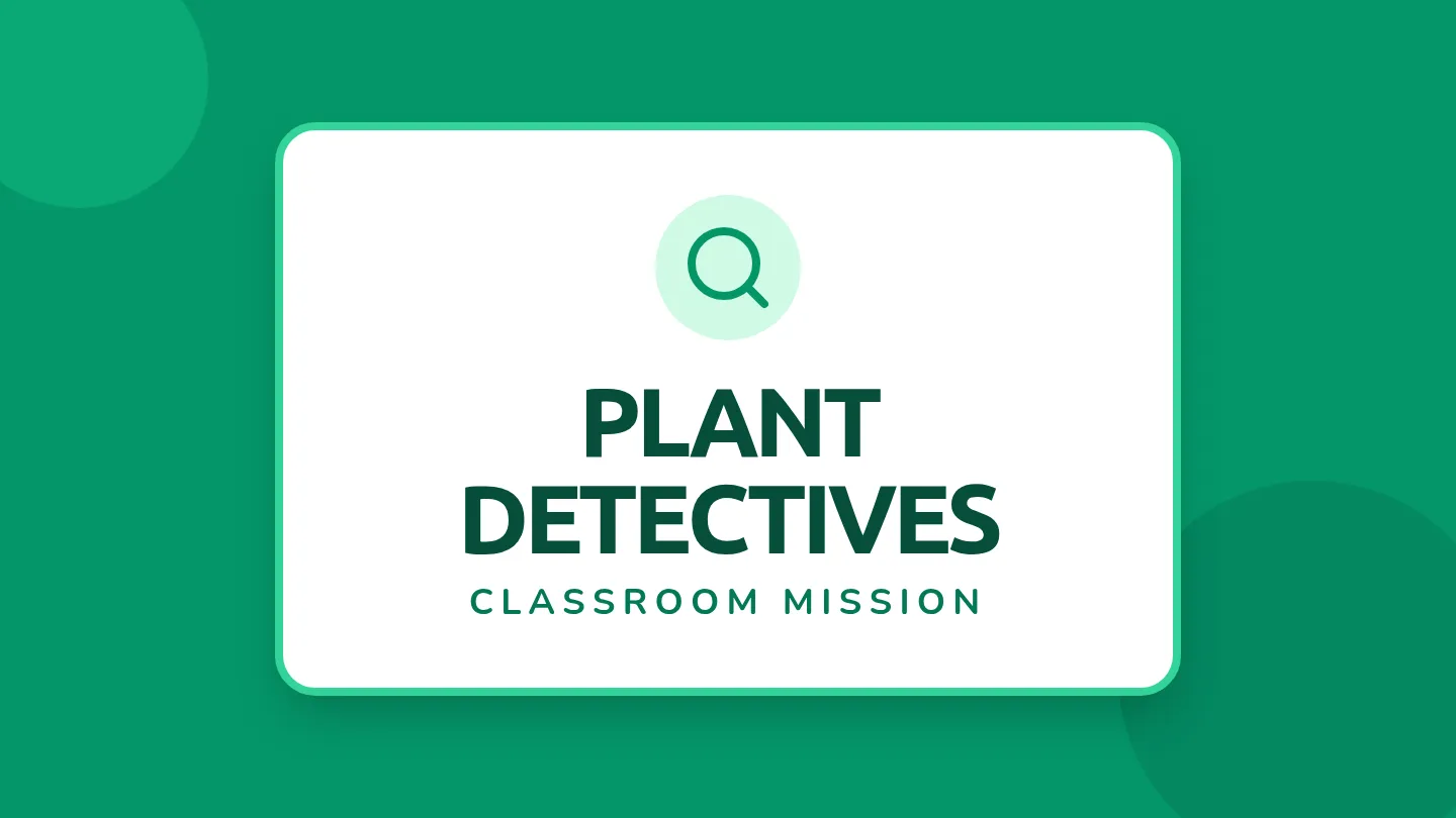 Plant Detectives Slides