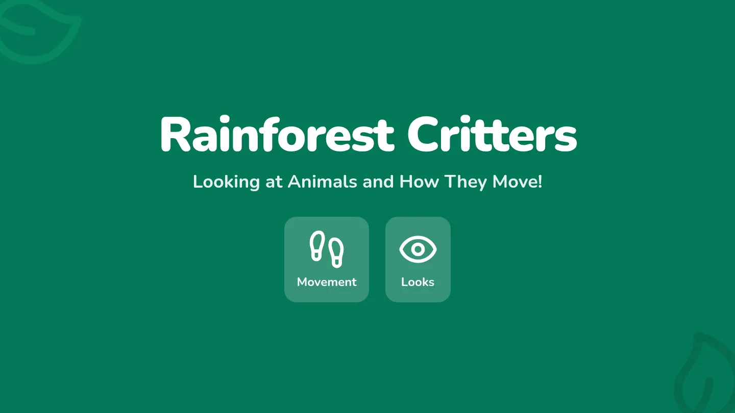 Rainforest Critters Slides