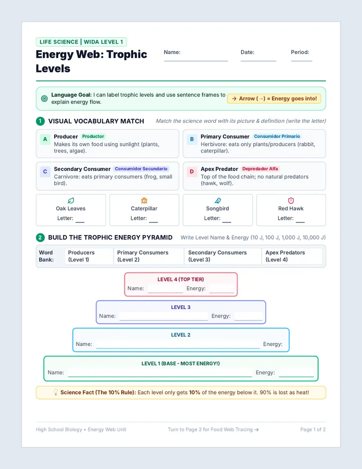 Energy Web Practice Sheet